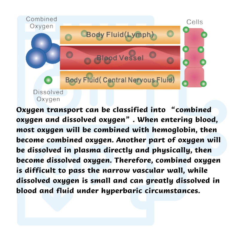 Principle of Hyperbaric Oxygen Chamber