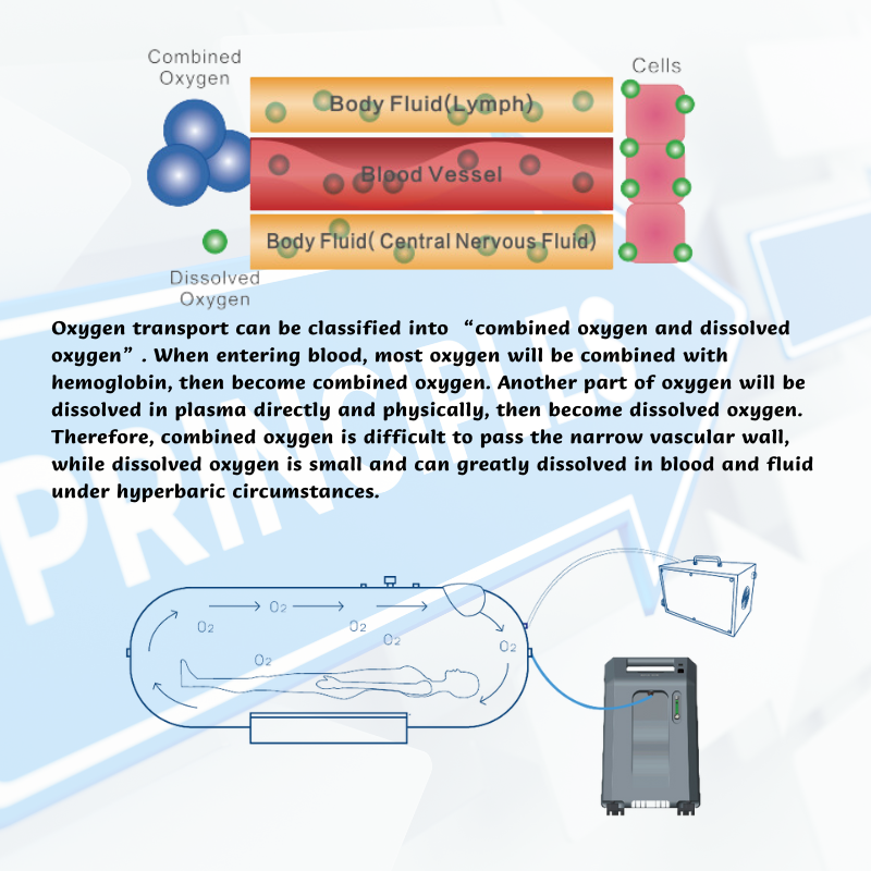 hyperbaric oxygen chambers